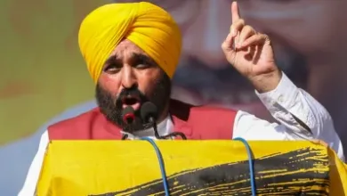 Punjab: मान सरकार इन शिक्षकों को विशेष ट्रेनिंग..पढ़िए पूरी खबर