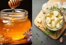 Honey And Garlic Benefits: शहद में लहसुन डालकर खाली पेट खाने से सेहत को कई फायदे मिलते हैं, जानें एक दिन में कितना खाएं?