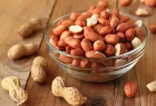 Peanuts, बादाम की तरह फायदेमंद है, एक किलो 150 रुपये में मिलता है और आपको ठंड से बचाता है