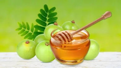 Amla With Honey Benefits: शहद में आंवला डालकर खाने से आपकी सेहत को कई लाभ मिलेंगे, खाने का सही तरीका जानें?
