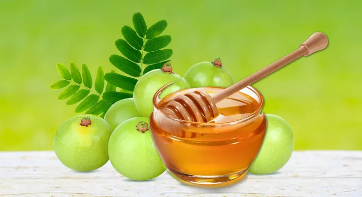 Amla With Honey Benefits: शहद में आंवला डालकर खाने से आपकी सेहत को कई लाभ मिलेंगे, खाने का सही तरीका जानें?