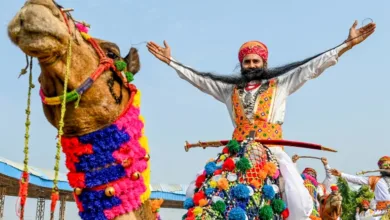 श्री पुष्कर पशु मेला-2024 झण्डा चढ़ने के साथ ही शनिवार को होगा शुभारम्भ