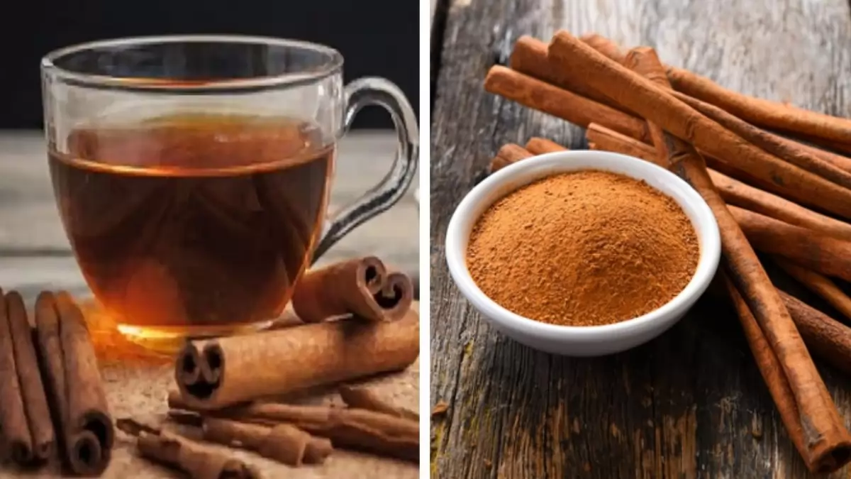 Cinnamon Tea Benefits: रोज एक चुटकी ये मसाला दूध वाली चाय में डाल दें, ब्लॉकेज दूर कर हार्ट को हेल्दी रखने में मिलेगी मदद