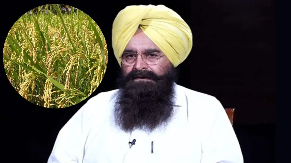 Agriculture Minister Gurmeet Singh Khudian ने कृषि क्षेत्र में बढ़ते मशीनीकरण को इस महत्वपूर्ण कमी का श्रेय दिया