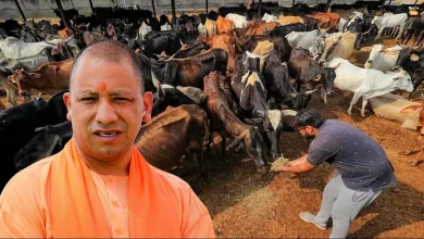 CM Yogi Adityanath ने जनपद गोरखपुर के ताल नदौर में निर्माणाधीन पशु चिकित्सा विज्ञान महाविद्यालय का निरीक्षण किया