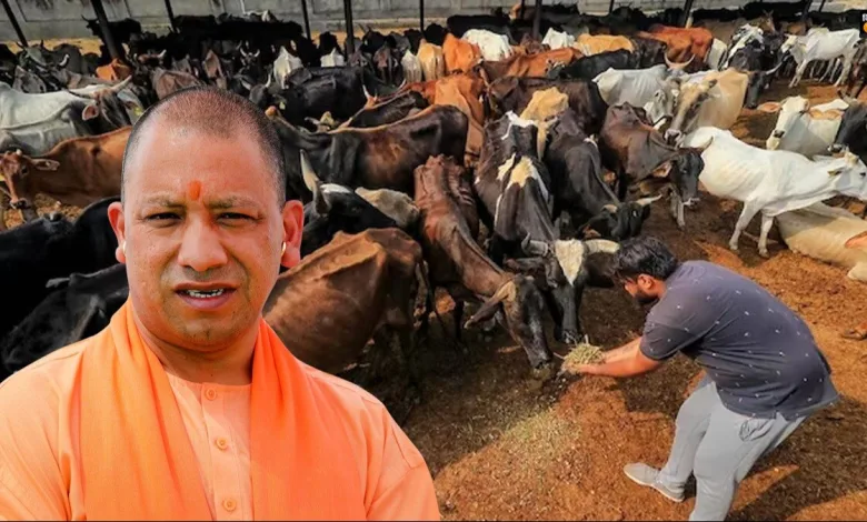 CM Yogi Adityanath ने जनपद गोरखपुर के ताल नदौर में निर्माणाधीन पशु चिकित्सा विज्ञान महाविद्यालय का निरीक्षण किया