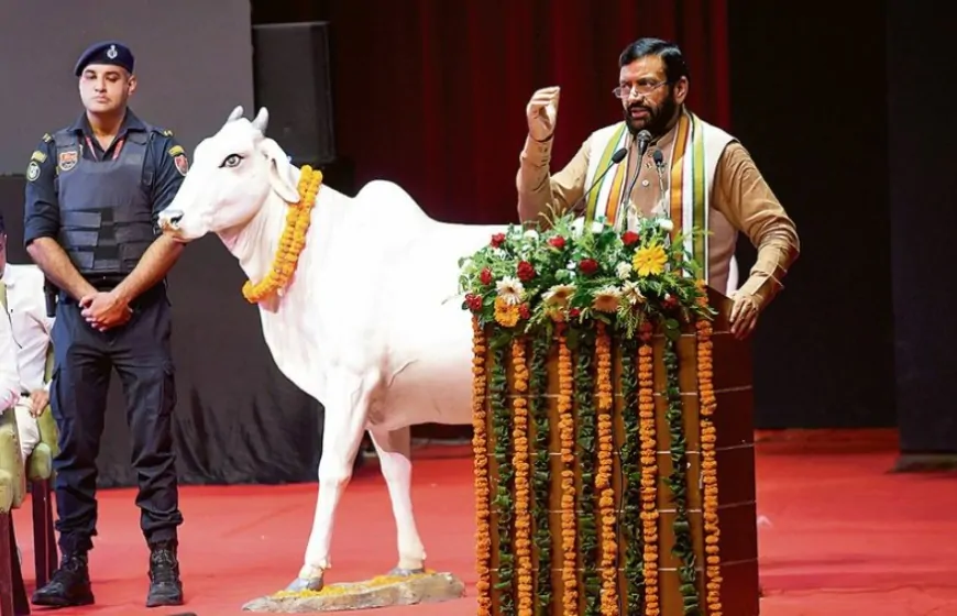 Haryana News: नायब सरकार का गौ संरक्षण अभियान, गौशालाओं को पांच गुना अनुदान राशि मिलेगी 