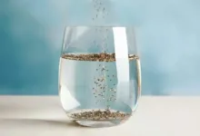 Chia Seeds Water: रोज सुबह खाली पेट इस काले बीज का पानी पीने से वजन तेजी से कम होता है और आपको ये अन्य शानदार लाभ मिलते हैं।