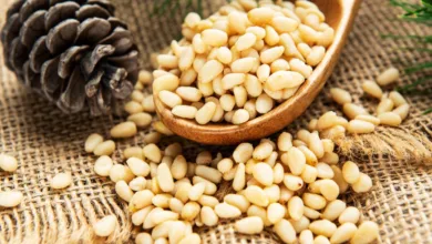 Pine Nuts Health Benefits: ये सस्ता, आयरन से भरपूर ड्राई फ्रूट आपके शरीर में खून की कमी को दूर करेगा