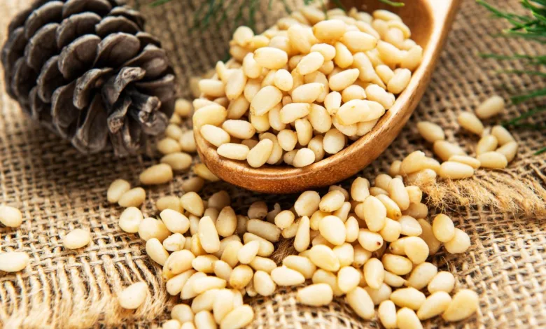 Pine Nuts Health Benefits: ये सस्ता, आयरन से भरपूर ड्राई फ्रूट आपके शरीर में खून की कमी को दूर करेगा