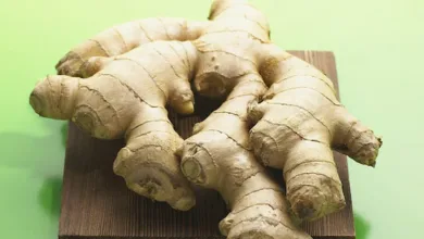 Roasted Ginger Benefits: क्या कभी भुनी हुई अदरक खाई है? स्वास्थ्य समस्याओं पर पड़ सकती है भारी 