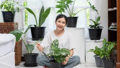 Vastu Tips For Plants: वास्तुशास्त्र के अनुसार घर में पौधा लगाना किस दिशा में लगाना शुभ होता है?