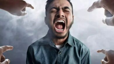 Anger Health Issues: क्रोध इन बीमारियों को जन्म देता है,  जानिए आपका गुस्सा शरीर के लिए कितना खतरनाक हो सकता है