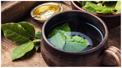 Bay Leaf Water Benefits: तेज पत्ता का पानी फैटी लिवर के लिए फायदेमंद है और इन सेहत समस्याओं को दूर करता है, जानें इस्तेमाल का सही तरीका