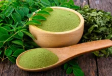 Moringa Juice In Diabetes: मोरिंगा के पत्ते और फली का जूस डायबिटीज में इंसुलिन को तेजी से बढ़ा सकते हैं, जो शुगर को नियंत्रित करने में प्रभावी है