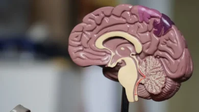 Health News: पांच मिनट 3 Mental Exercises करने से बंद दिमाग के ताले खुल जाएंगे, ब्रेन AI की तरह काम करने लगेगा