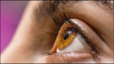 Eye Twitching Causes: आंख फड़कने वजह हो सकती हैं ये बीमारी, बंद करने के लिए क्या करें? जानिए 