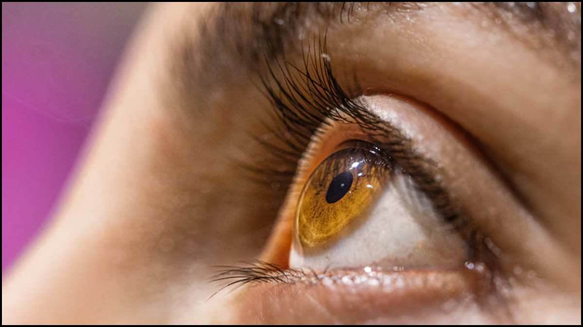 Eye Twitching Causes: आंख फड़कने वजह हो सकती हैं ये बीमारी, बंद करने के लिए क्या करें? जानिए 