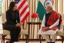 Tulsi Gabbard कौन हैं? प्रधानमंत्री मोदी की अमेरिका पहुंचते ही पहली मुलाकात, आज ट्रंप से भी बात होगी