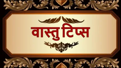 Vastu Tips: यदि आप ये चीजें आज घर में रखेंगे तो धन की समस्याएं दूर हो जाएंगी और  मां लक्ष्मी सदैव करेंगी वास