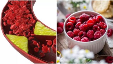 ये तीन चीजें खाने से शरीर में तेजी से Bad Cholesterol का स्तर बढ़ता है, हम और आप  हेल्दी समझकर खूब खाते हैं