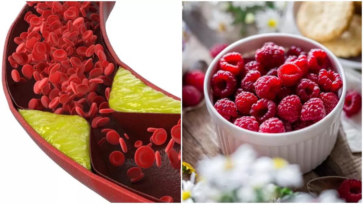 ये तीन चीजें खाने से शरीर में तेजी से Bad Cholesterol का स्तर बढ़ता है, हम और आप हेल्दी समझकर खूब खाते हैं 12 ये तीन चीजें खाने से शरीर में तेजी से Bad Cholesterol का स्तर बढ़ता है, हम और आप हेल्दी समझकर खूब खाते हैं