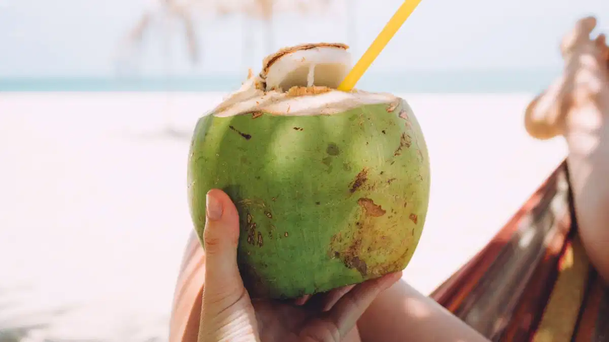 Coconut Water Health Benefits: सर्दियों में नारियल का पानी किस समय पीना चाहिए? ये अद्भुत लाभ सेहत को मिल सकते हैं