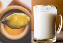 Is Ghee And Milk Harmful For Health: शरीर को दूध-घी खाने से क्या नुकसान होता है? डॉक्टर से पूछें कब और कितनी मात्रा में सेवन करें