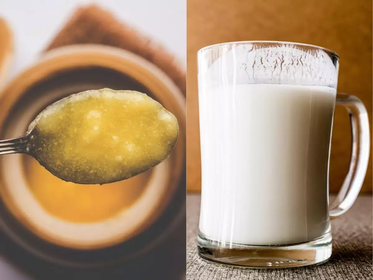 Is Ghee And Milk Harmful For Health: शरीर को दूध-घी खाने से क्या नुकसान होता है? डॉक्टर से पूछें कब और कितनी मात्रा में सेवन करें