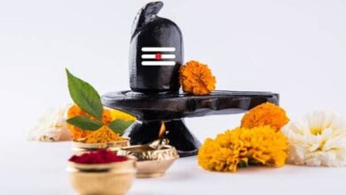 Mahashivratri Vrat 2025 Upay: ये उपाय महाशिवरात्रि पर भगवान शंकर को प्रसन्न करने के लिए करें 