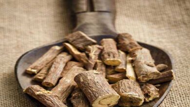 Mulethi Health Benefits: ये जड़ी-बूटी औषधीय गुणों से भरपूर, सर्दी और खांसी का रामबाण इलाज हैं