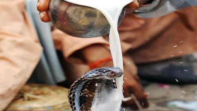 Nag Panchami 2025: जानें किस दिन है नाग पंचमी, इस त्योहार के बारे सही तिथि, और समय भी देखिये