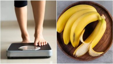 Banana health benefits: एक महीने में केला खाने से कितना वजन बढ़ता है? इस फल को खाना आपकी सेहत के लिए वरदान साबित होगा