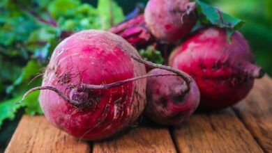 Beetroot Health Benefits: चुकंदर गर्म होता है या ठंडा? क्या आप जानते हैं कि इसे खाने का सही तरीका क्या है?