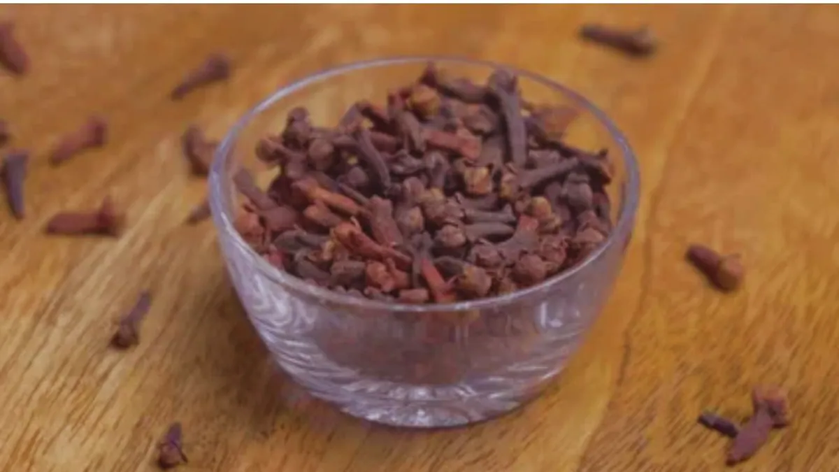 Cloves Health Benefits: रोज सुबह इतनी लौंग चबाएं, शरीर फौलादी बन जाएगा, ये सेहत समस्याएं दूर हो जाएंगी