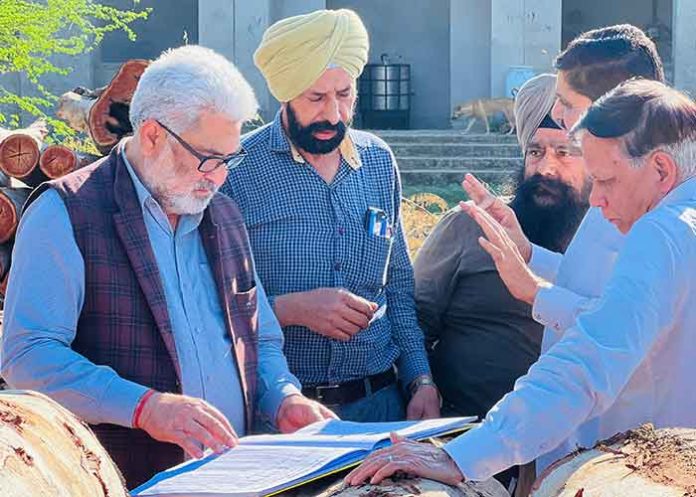 वन मंत्री लाल चंद कटारूचक ने मत्तेवाड़ा जंगल डिपो का औचक निरीक्षण किया