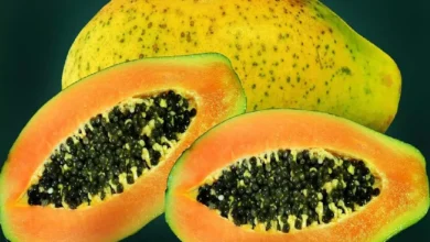 Papaya Side Effects: क्या कुछ लोगों के लिए पपीता घातक हो सकता है? यह फल खाने के दुष्प्रभावों को जानें