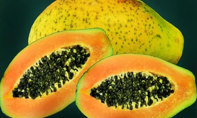 Papaya Side Effects: क्या कुछ लोगों के लिए पपीता घातक हो सकता है? यह फल खाने के दुष्प्रभावों को जानें