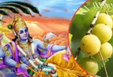 Ekadashi: आंवला एकादशी या अमलकी एकादशी कब है? जानें व्रत, तिथि और पूजन का मुहूर्त