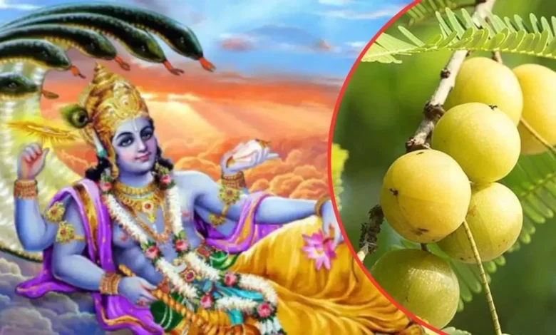 Ekadashi: आंवला एकादशी या अमलकी एकादशी कब है? जानें व्रत, तिथि और पूजन का मुहूर्त