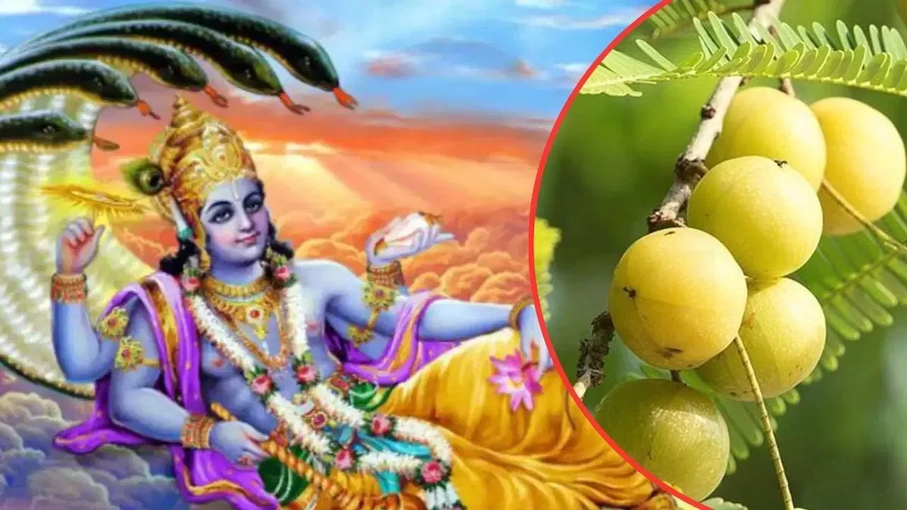 Ekadashi: आंवला एकादशी या अमलकी एकादशी कब है? जानें व्रत, तिथि और पूजन का मुहूर्त