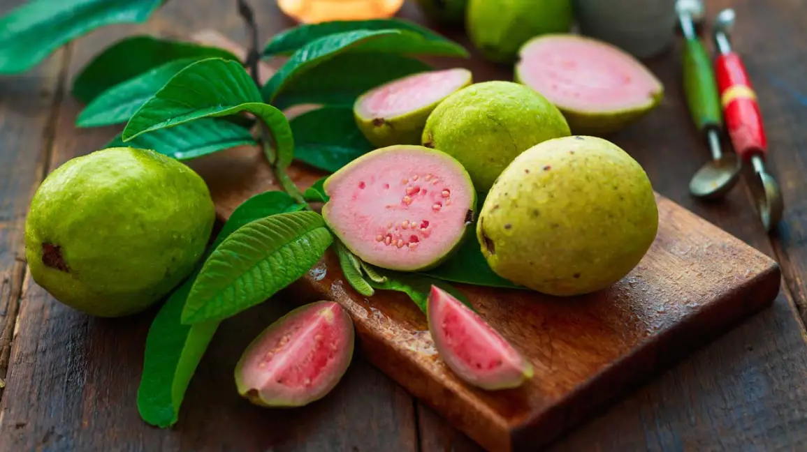 Guava Health Benefits: कैसी होती है अमरूद की तासीर, इस फल को खाने से शरीर पर क्या असर पड़ता है जान लीजिए 12 Guava Health Benefits: कैसी होती है अमरूद की तासीर, इस फल को खाने से शरीर पर क्या असर पड़ता है जान लीजिए