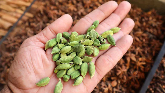 Cardamom Health Benefits: एक दिन में इतने इलायची के दाने चबाएं, महीने भर में कई सेहत समस्याएं दूर हो जाएंगी