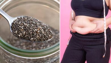 Chia Seeds For Weight Loss: चिया सीड्स मोटापा कम करने में बहुत अच्छा काम करता है; इस तरह से इस्तेमाल करें, वेट होगा लॉस