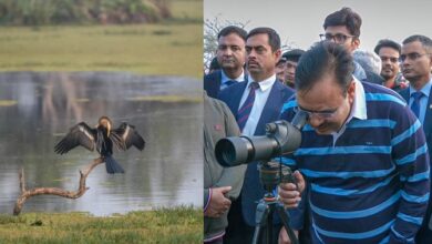 मुख्यमंत्री भजनलाल शर्मा ने केवलादेव राष्ट्रीय उद्यान में किया भ्रमण