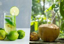 Coconut Water Vs Lemon Water: नींबू पानी या नारियल का पानी, सेहत के लिए कौन सी नेचुरल ड्रिंक बेहतर हैं?