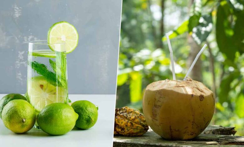 Coconut Water Vs Lemon Water: नींबू पानी या नारियल का पानी, सेहत के लिए कौन सी नेचुरल ड्रिंक बेहतर हैं?