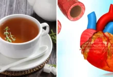 Herbal Tea For Heart: सुबह उठकर ये देसी चाय पीने से दिल की बीमारी दूर हो जाएगी, ये लकड़ी आज ही पंसारी की दुकान से खरीदें।