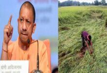 CM Yogi Adityanath ने फसलों के नुकसान की रिपोर्ट मांगी, यूपी के कई जिलों में ओले की बारिश