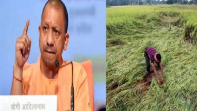 CM Yogi Adityanath ने फसलों के नुकसान की रिपोर्ट मांगी, यूपी के कई जिलों में ओले की बारिश